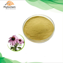 health products herbal supplement grade raw material purpurea herb echinacea extract powder